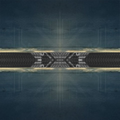 And I Will Wander Antarctica, In An Astronaut's Skin