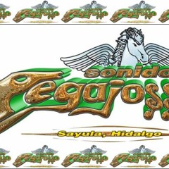 Mix Grupo Sonador Vs Grupo Los Vickos Djpegajosso