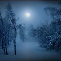 A Snowfall in the Woods