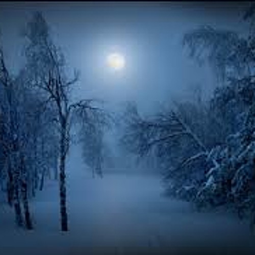 A Snowfall in the Woods