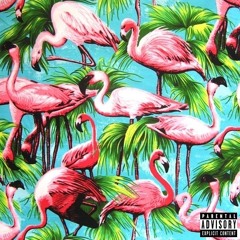 H&M (feat. Jordan Te'sean)