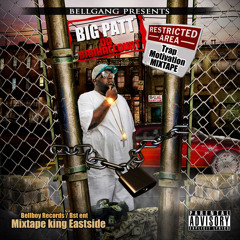 Big Patt Feat. Lil Boosie - Tha Struggle