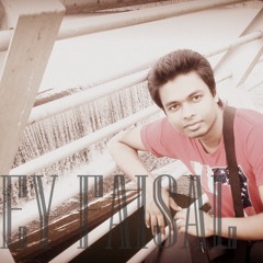 DJEY FAISAL BEST OF HINDI 2014 MIX