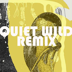Scott of The Antartic "Quiet Wild" (My Broken Frame Remix)