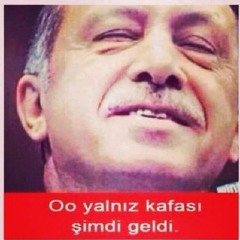 Şehinnn