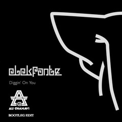 Elekfantz - Diggin' On You (Ali Ghanavi Bootleg Edit)