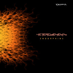 HETEROGENESIS - Looper