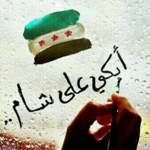 محمد بشار ابكي على شام الهوى