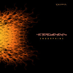 HETEROGENESIS - Neurotransmisor