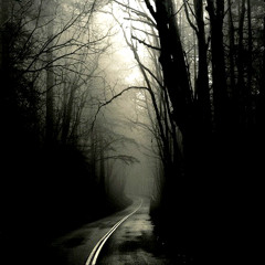 Avec - Lost Within Myself