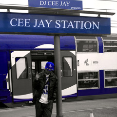 Cee Jay Station