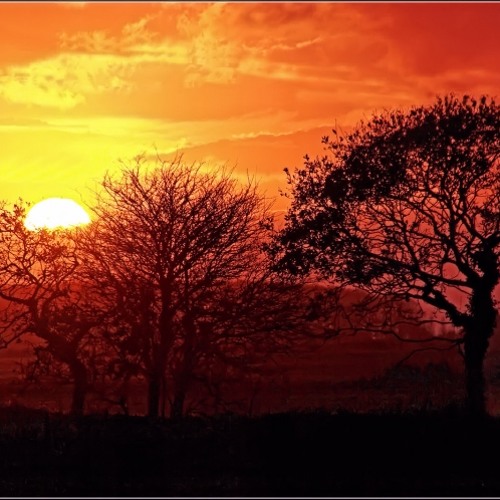 Aperitimix Autumn 2013 Part Two