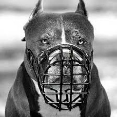 La rage - Biznis Ft Uniic Deviiz (LaQuebProduction)