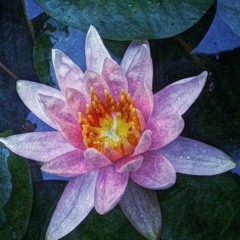 Ram Dass: Living the Mystery