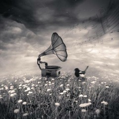 Sebzz - Limitless 09