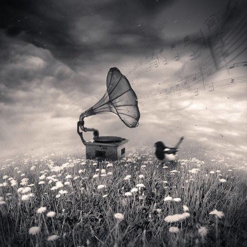 Sebzz - Limitless 09