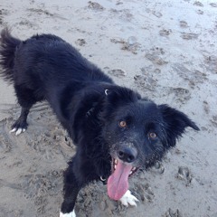 You're Out Of My Eyes