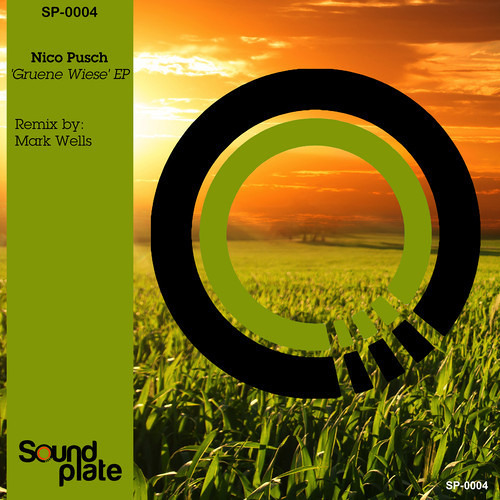 Nico Pusch - Grune Wiese (Mark Wells Remix)