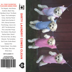 SURFER BLOOD- "Hey Sandy (Polaris Cover)"