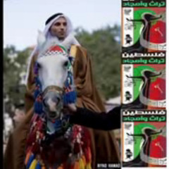 طل الزين
