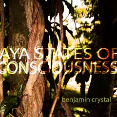 Aya States Of Consciousness