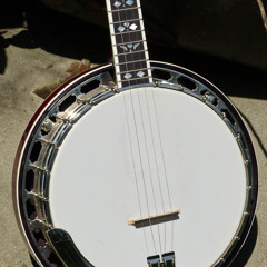 2000s Chinese-made Recording King RK-R80 5-string bluegrass banjo (demo)