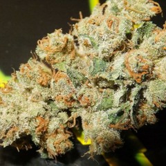 Mr. carmack - smells like