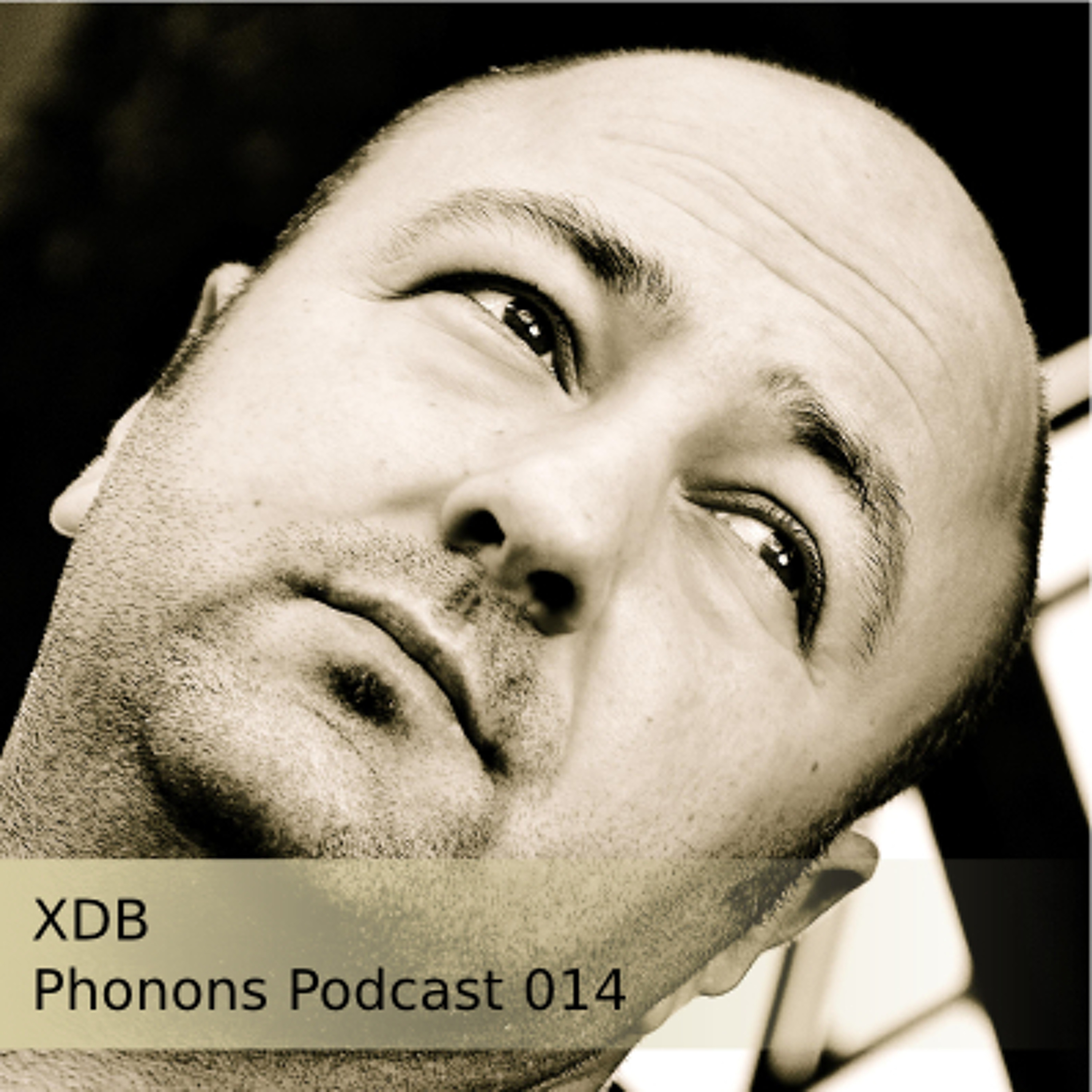 Phonons Podcast Series