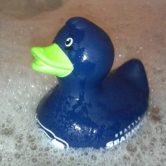 12th Man Stand.  Seahawks Song, Unofficial, NEW !!!