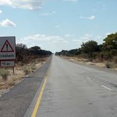 Ashes On The Highway