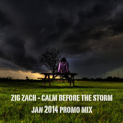 Zig Zach - Calm Before The Storm Jan 2014 Promo Mix