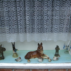 A walk in the park. Stina Nordenstam REMIX