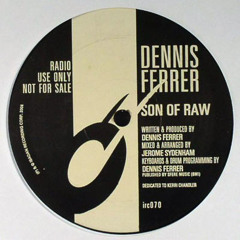 Dennis Ferrer - Son Of Raw - Ibadan (2006)