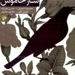 ریمیکس ساز و آواز دشتی محمدرضا شجریان  بوسیله رامتین