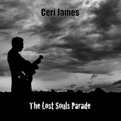 12 Goddess On A Hiway (Mercury Rev cover)