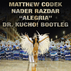 Matthew Codek & Nader Razdar - Alegria (Dr. Kucho! Bootleg)