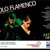 Artwork for FLAMENCO Y FUSION HOY EN EL ICPNA