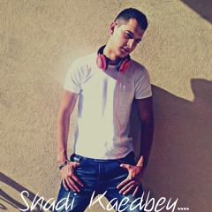 شرين ومين اختار 2014 ريمكس DJSKB