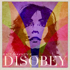 Kate Havnevik - Disobey - Sultan+Ned Shepard Remix
