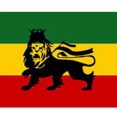 ragga-jungle reggae
