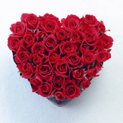 فايت على الورد - مصطفى عاطف