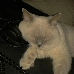 Rocky Söntgen Deep New Year Podcast @Cologne