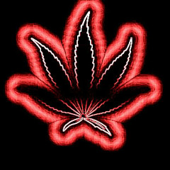 Gun Dub Vich Rakhi Dj Aujla And  Dj Pabbe