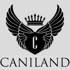 Caniland 2 (Prod By Zeus Million )