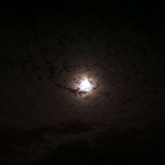 Unravel (Bjork cover)