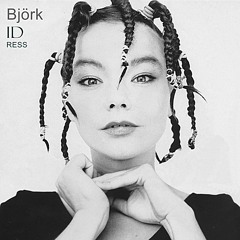 Hidden Place(IDress remix) Björk
