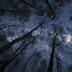 Midnight Sky