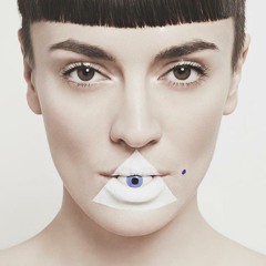 Cheval Sauvage  ( Into the Wild )