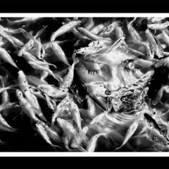 Planet that is Inside Out