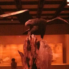 My High ft Alkizzy Selencio Mula Off The NFZ,mixtape  Produced By Barz Young Black